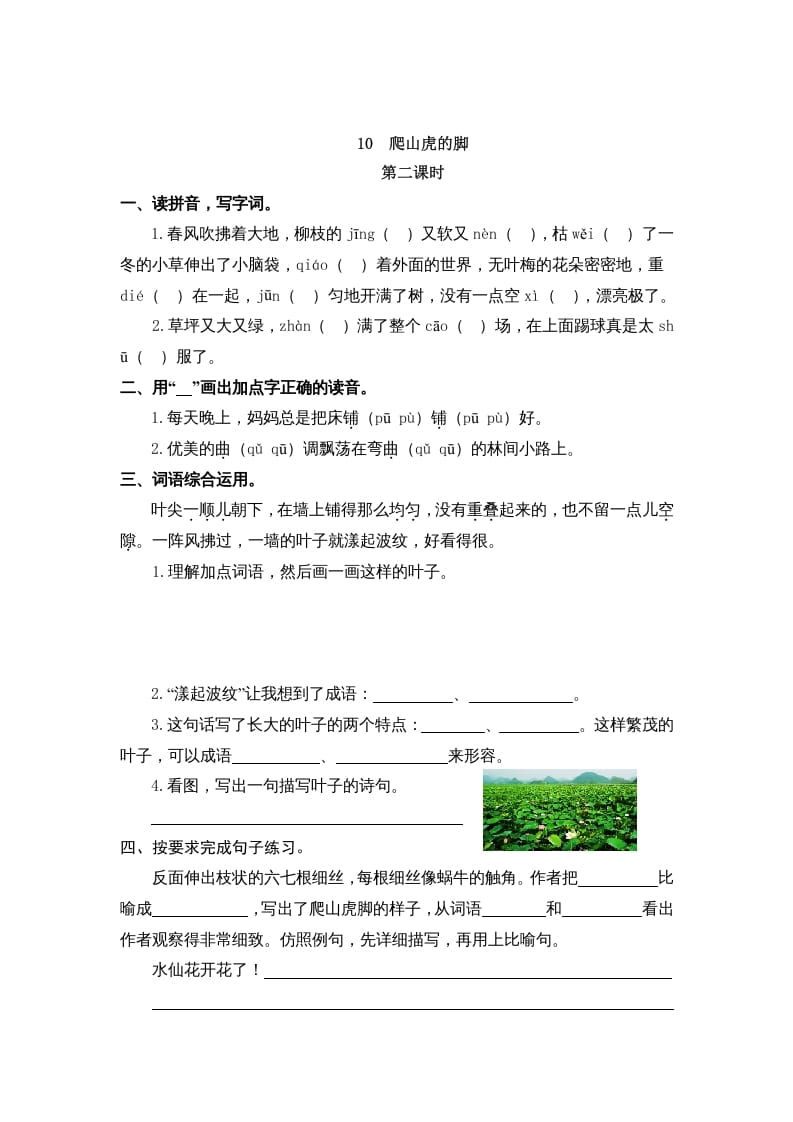 图片[3]-四年级语文上册10爬山虎的脚-龙云试卷网