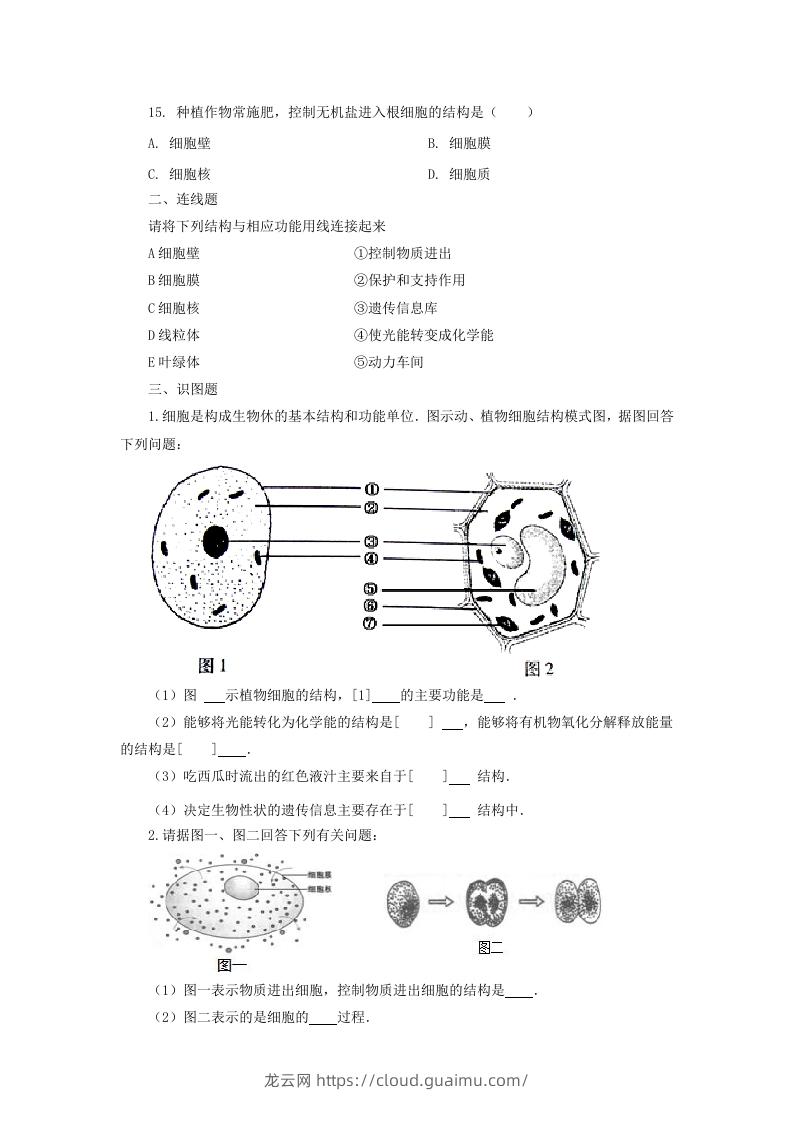 图片[3]-七年级上册生物第二单元第一章第四节试卷及答案(Word版)-龙云试卷网