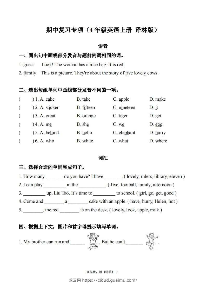 期中复习专项（四上英语译林版）-龙云试卷网