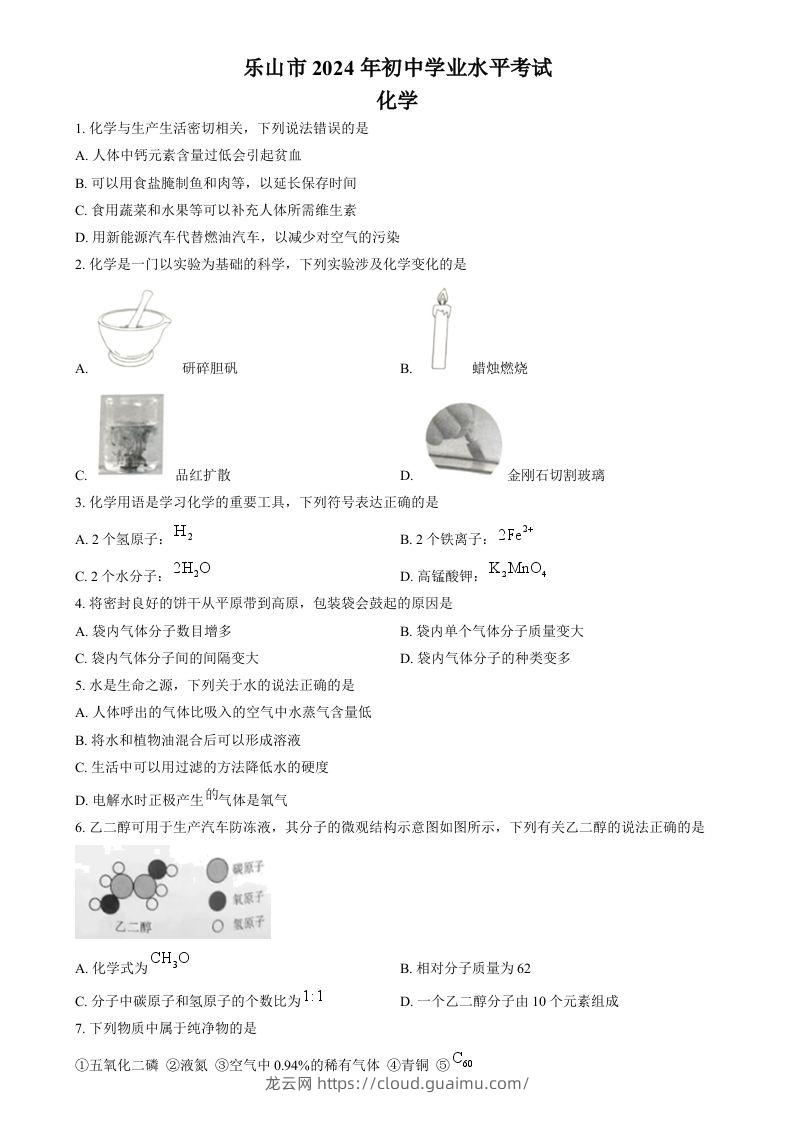 2024年四川省乐山市中考化学真题（空白卷）-龙云试卷网