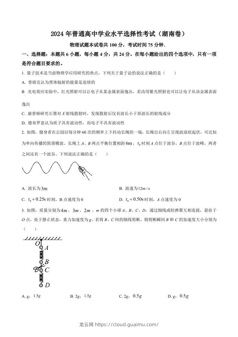 2024年高考物理试卷（湖南）（空白卷）-龙云试卷网